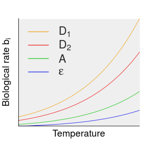 :scale 90%